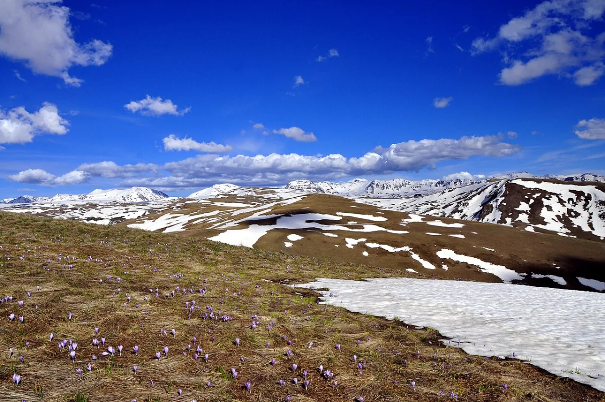 Foto di Korab Sar