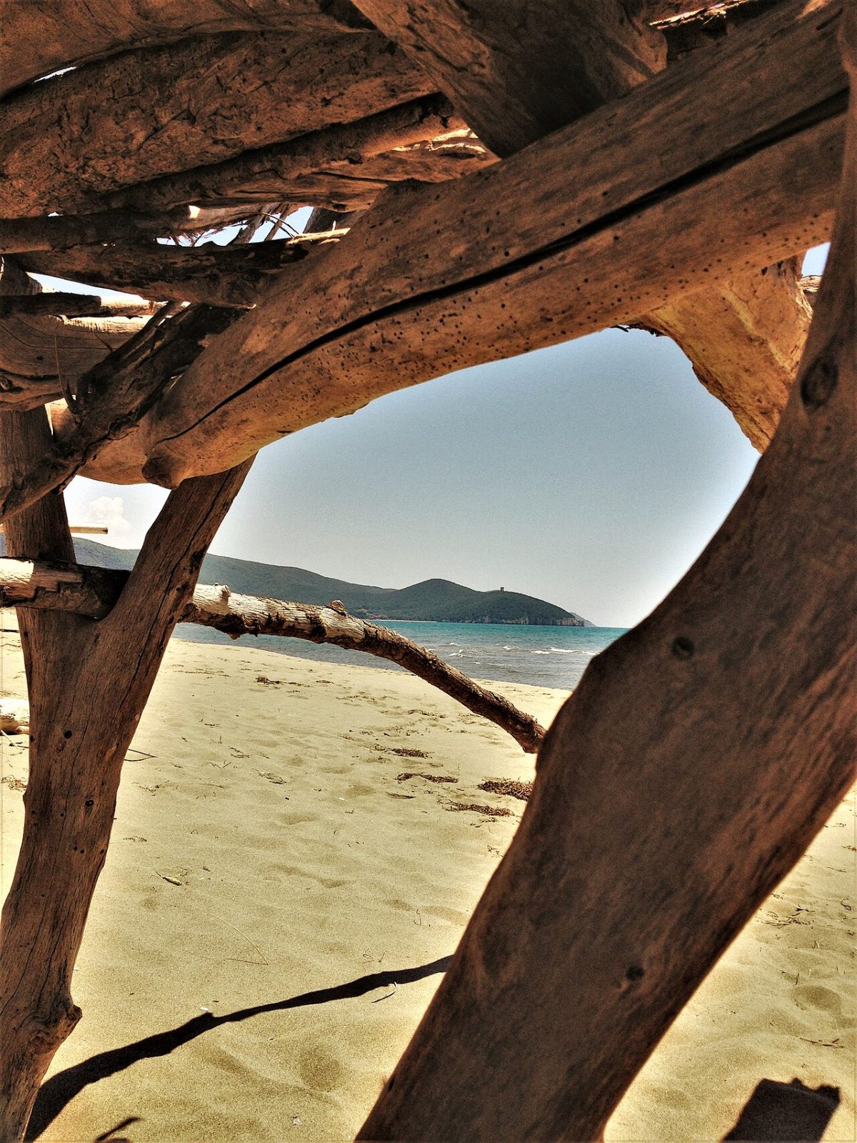 Marina di Alberese: l'unica spiaggia del Parco della Maremma, senza un solo edificio in vista (Marina di Alberese, Parco della Maremma, Toscana)