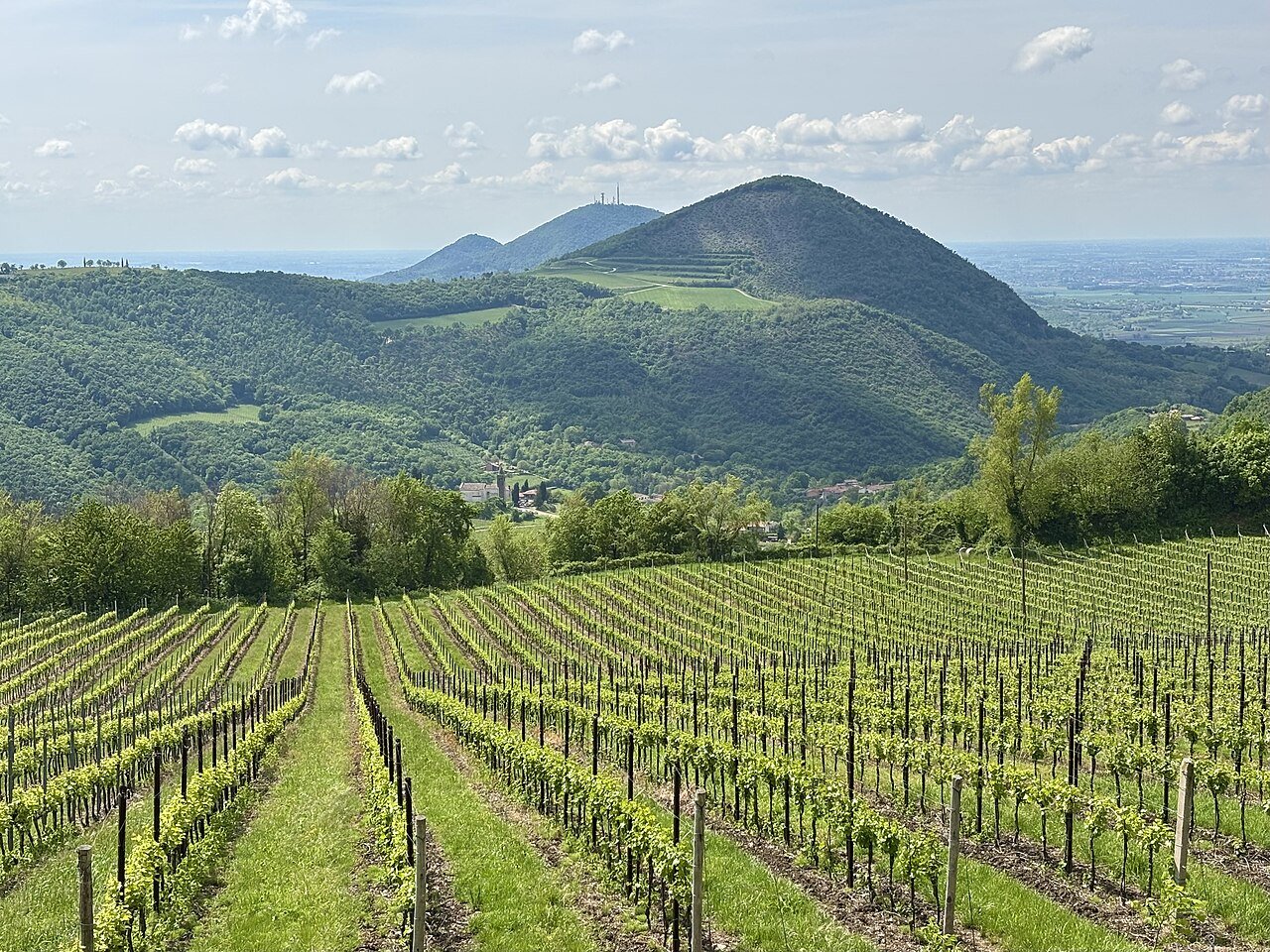 Anello dei Colli Euganei tra terme e abbazie