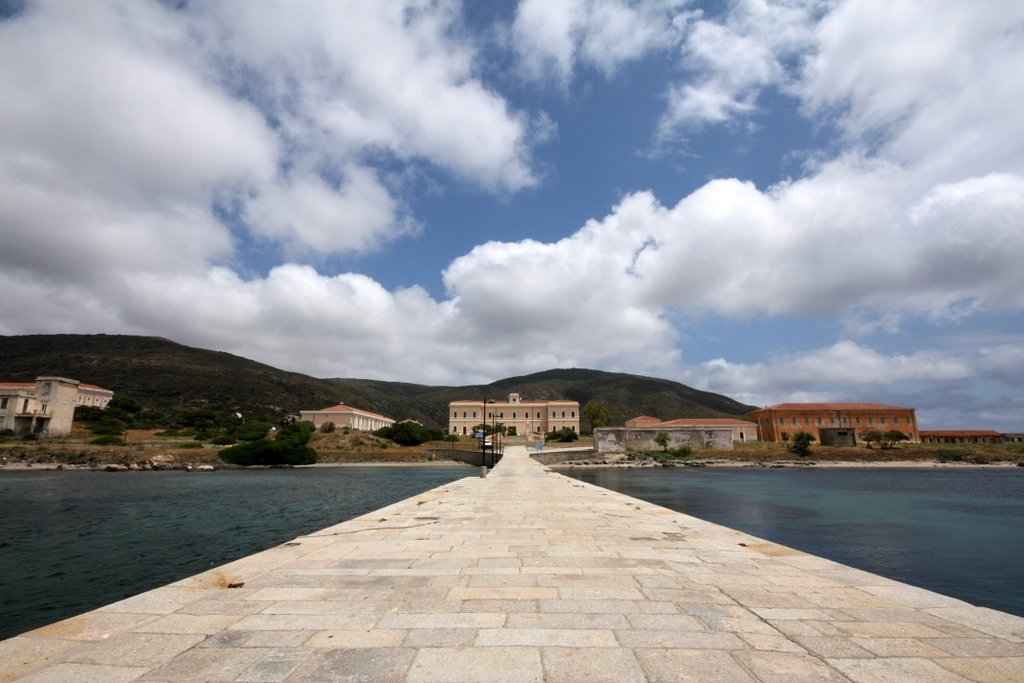 Asinara: dove i cavalli bianchi corrono liberi in un ex carcere di massima sicurezza