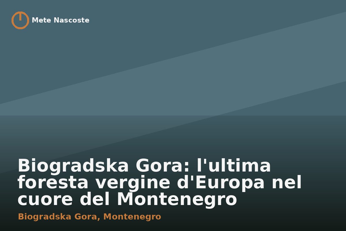 Biogradska Gora: l'ultima foresta vergine d'Europa nel cuore del Montenegro
