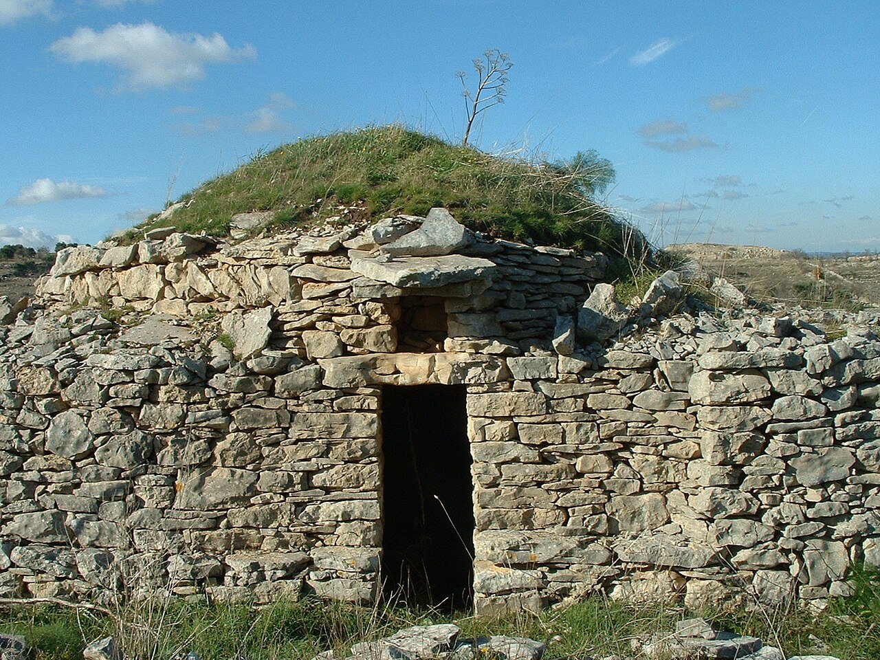 Cammino nell'Alta Murgia tra jazzi e doline