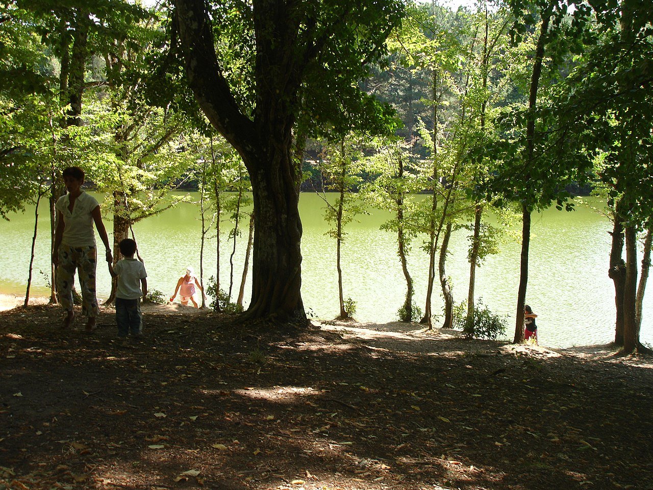 Ciclovia del Gargano e Foresta Umbra: il promontorio silenzioso