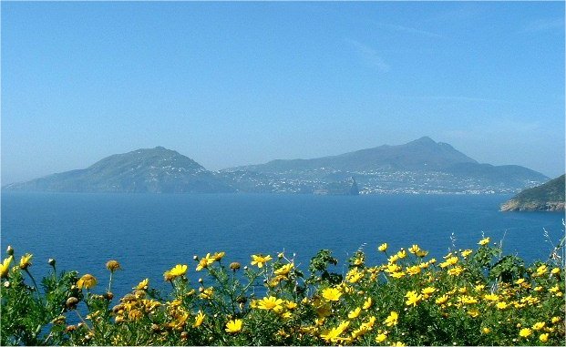 Dove mangiare a Ischia: guida ai migliori ristoranti, trattorie e cucina di mare