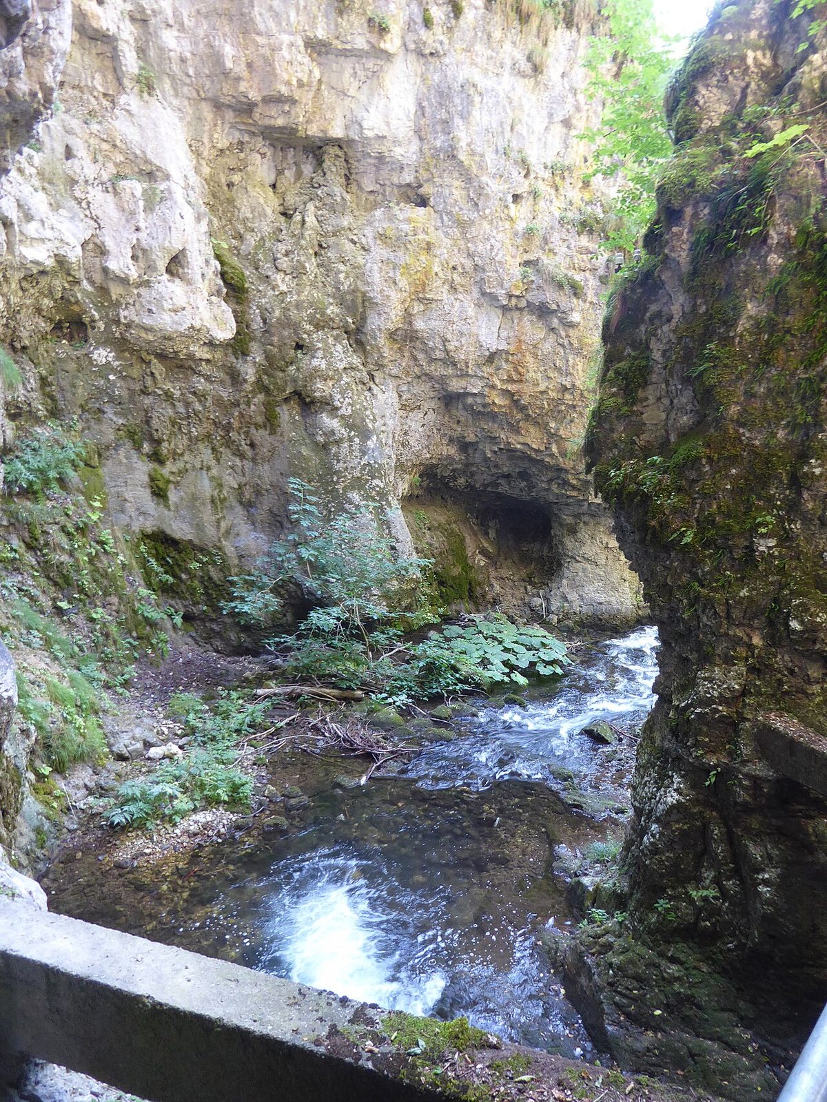 Gole del Rio Sass: il canyon basaltico segreto della Val di Non