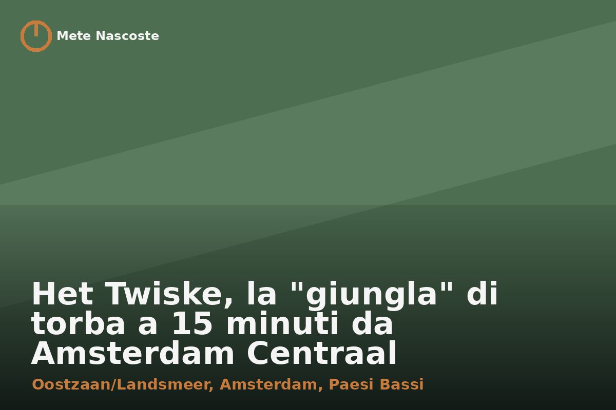Het Twiske, la "giungla" di torba a 15 minuti da Amsterdam Centraal