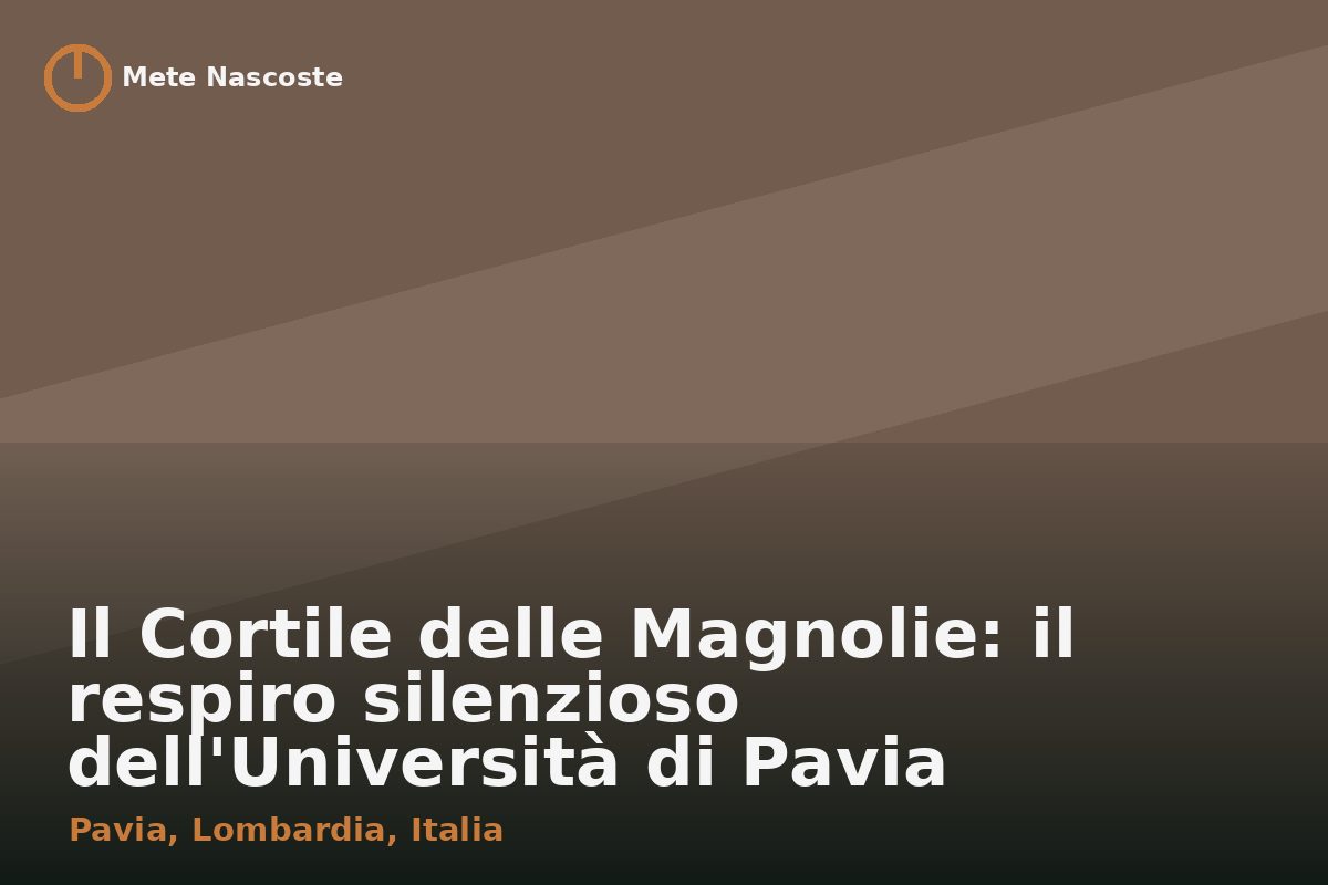 Il Cortile delle Magnolie: il respiro silenzioso dell'Università di Pavia