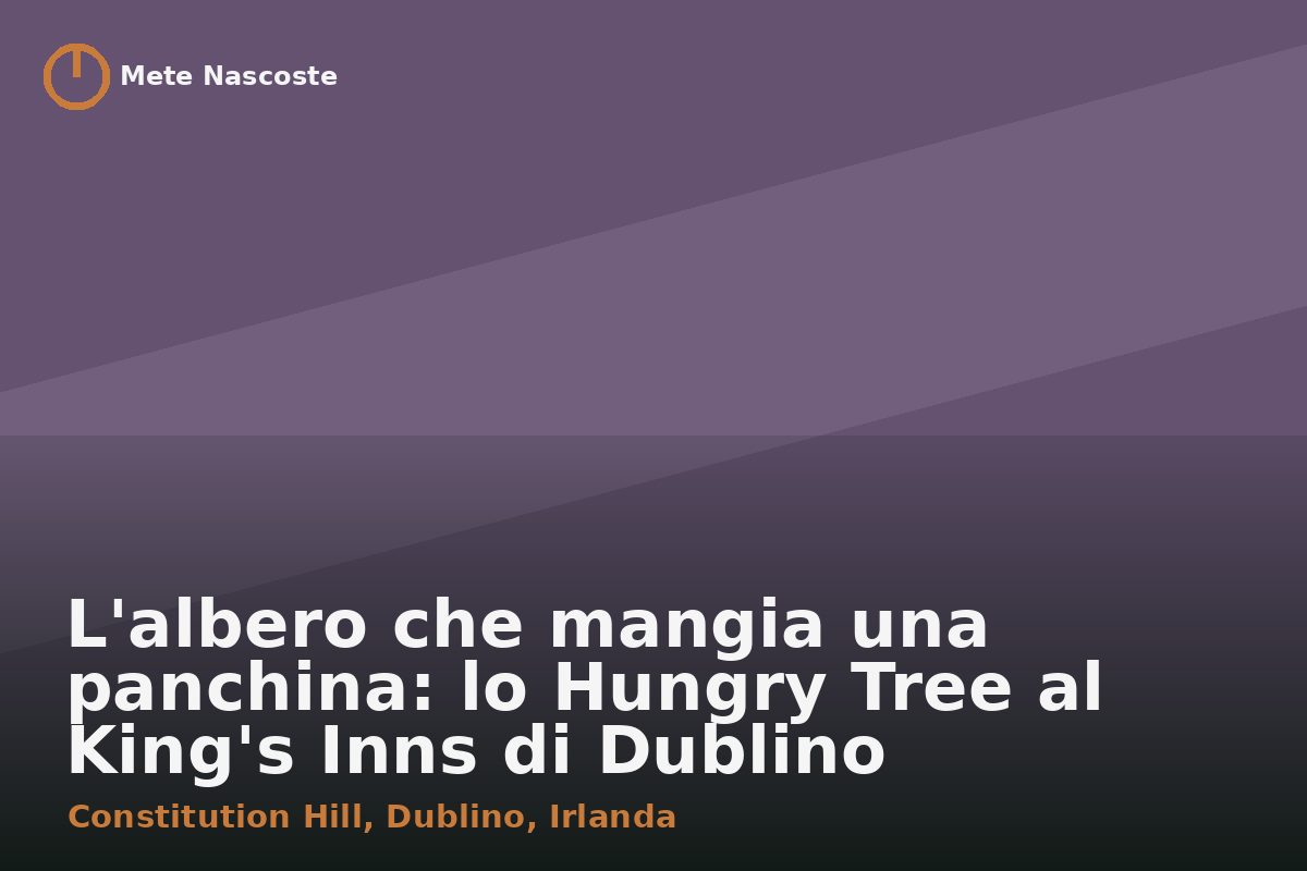 L'albero che mangia una panchina: lo Hungry Tree al King's Inns di Dublino