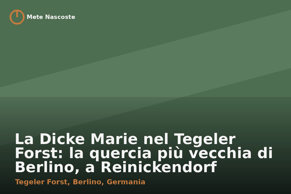 La Dicke Marie nel Tegeler Forst: la quercia più vecchia di Berlino, a Reinickendorf