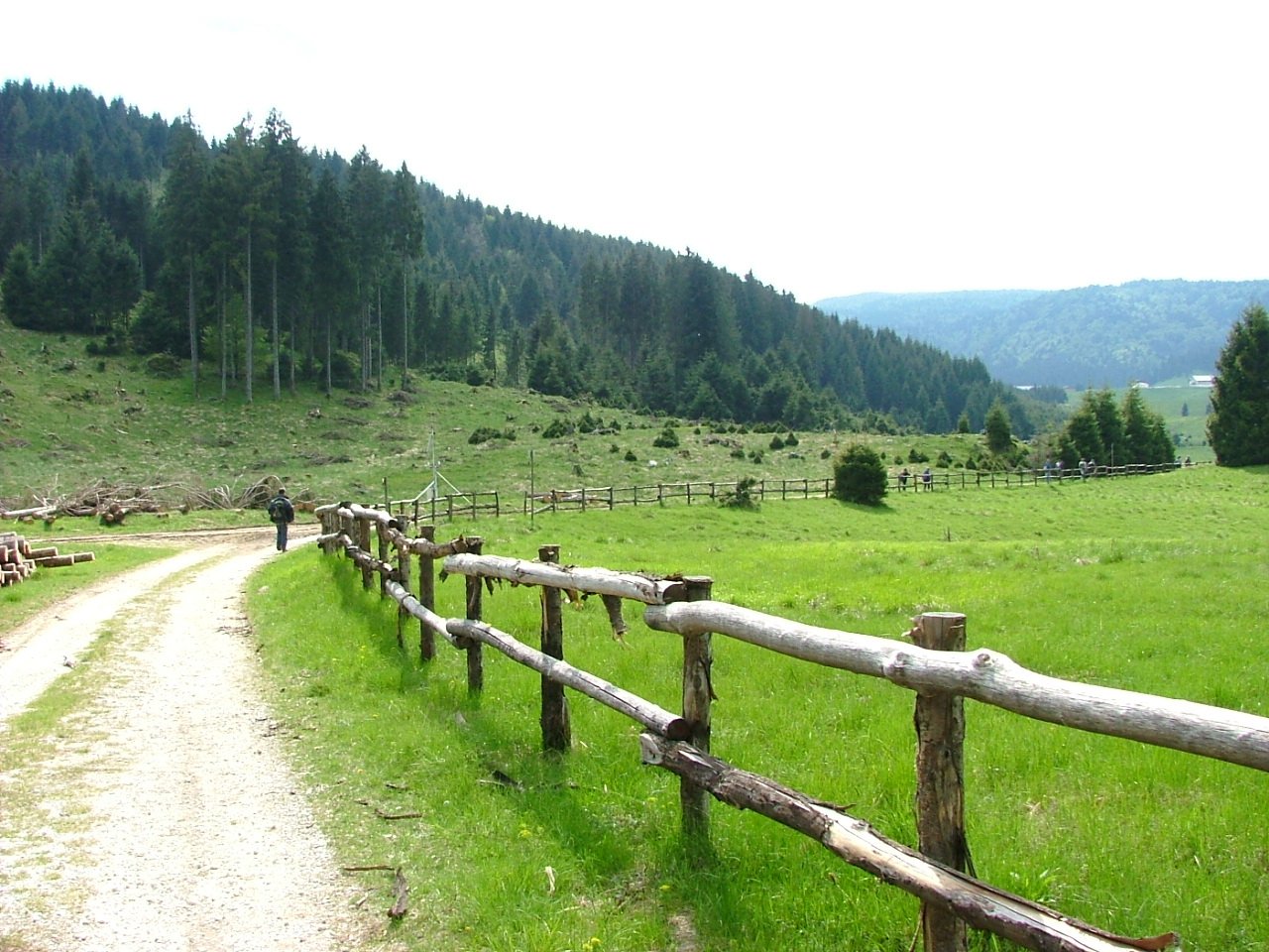 La Foresta del Cansiglio e l'altopiano dei Cimbri
