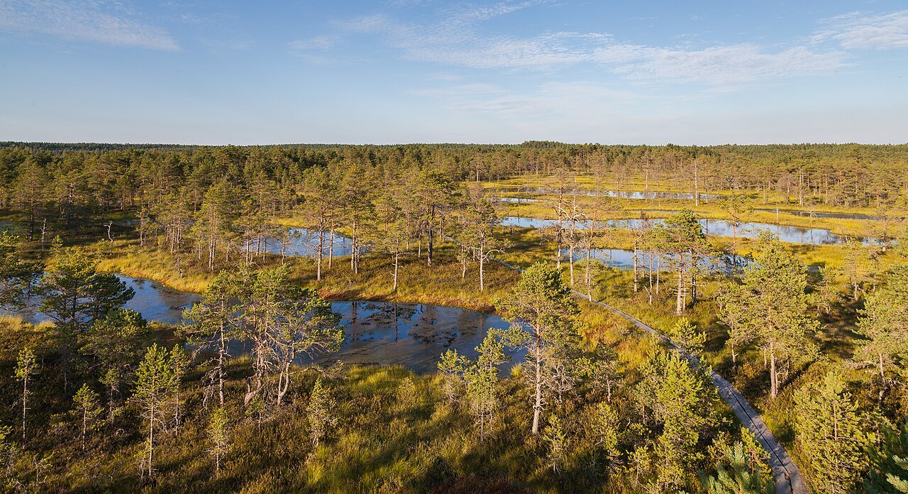 Lahemaa: foreste e paludi d'Estonia