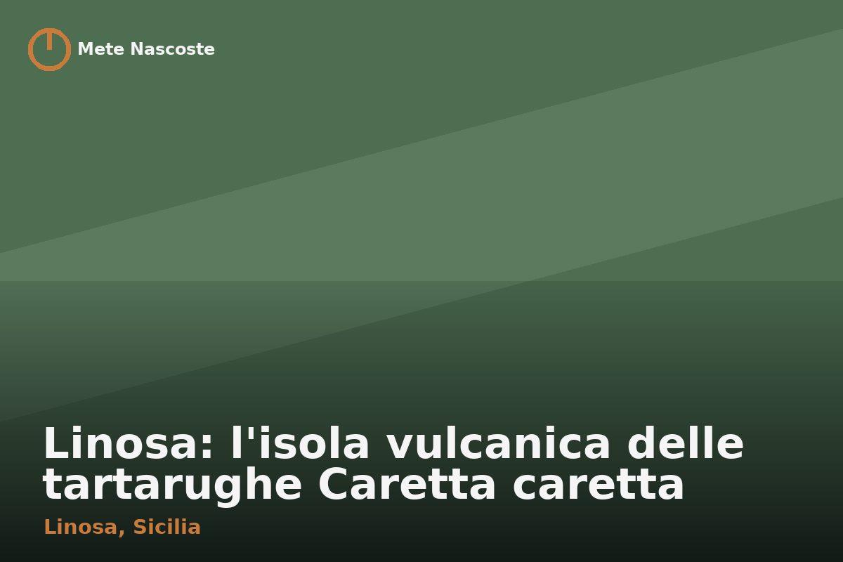 Linosa: l'isola vulcanica delle tartarughe Caretta caretta