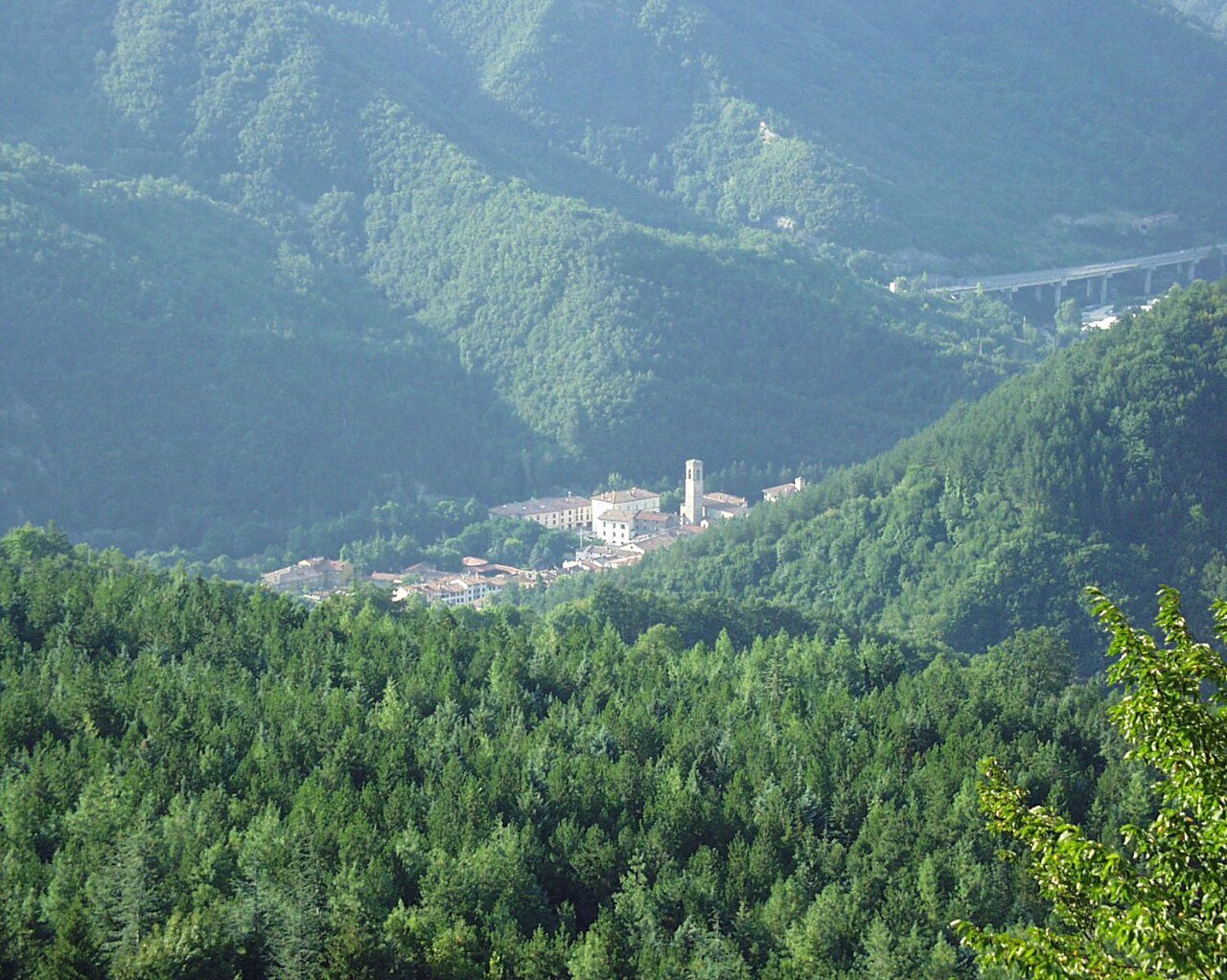 Sasso Fratino, la foresta proibita d'Italia