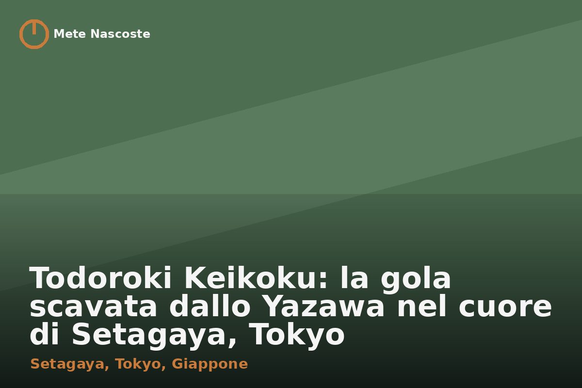Todoroki Keikoku: la gola scavata dallo Yazawa nel cuore di Setagaya, Tokyo