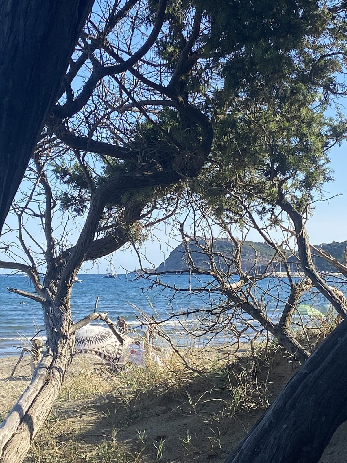 Il Tombolo della Feniglia: 6 km di pineta e spiaggia libera senza una sola auto (Tombolo della Feniglia, Orbetello, Toscana)