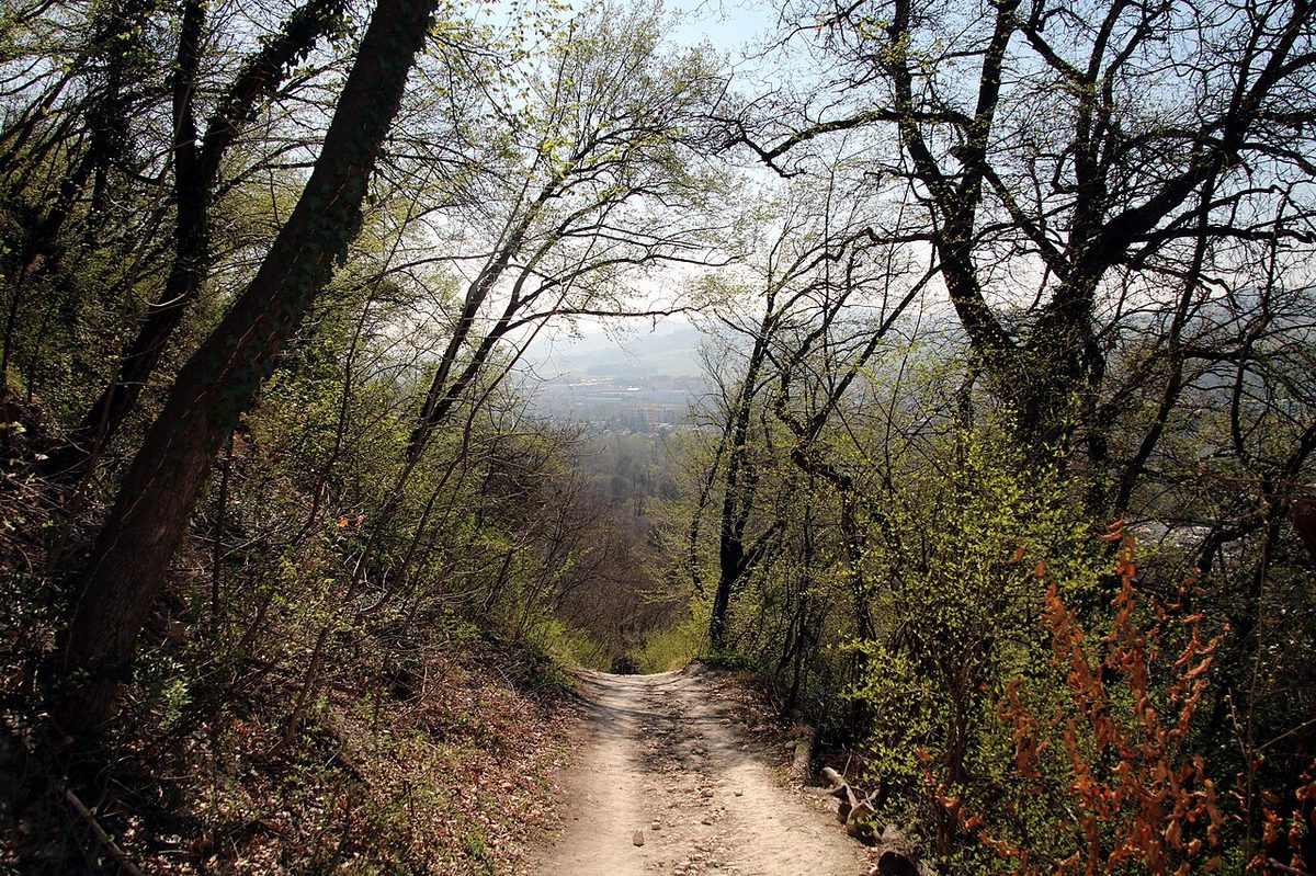 Via degli Dei: Seven Days Through Etruscan Forests and Silent Apennines