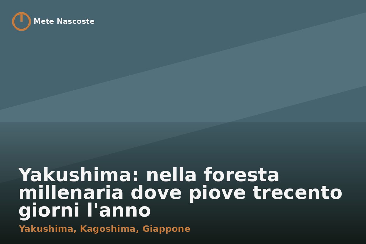 Yakushima: nella foresta millenaria dove piove trecento giorni l'anno