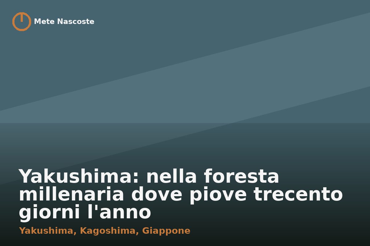 Yakushima: nella foresta millenaria dove piove trecento giorni l'anno